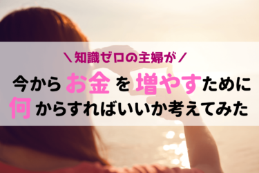 【知識ゼロ】アラフィフ主婦の「これからお金を増やしたいならこの２つをやるしかない」ということがわかった理由